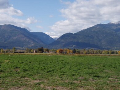 Looking into Big Creek Willoughby Estate