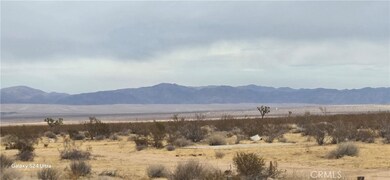 0 Handley Rd unit OC25004576, Landers, CA 92285 - photo 2
