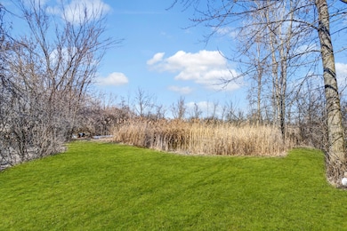 1822 Barthelone Ave, Crest Hill, IL 60403 - photo 4