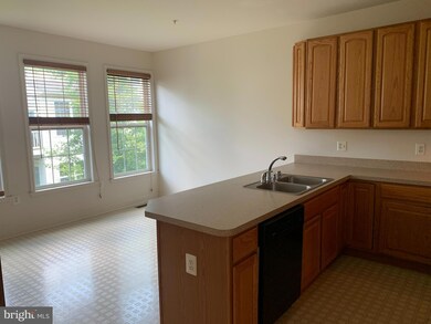 4304 Vintage Ivy Ln, Owings Mills, MD 21117 - photo 5