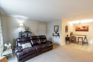 05-900 Mtn Creek 362-5