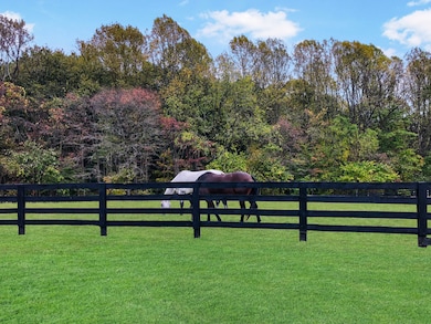 1701 Cooper Ridge Rd, Columbia, KY 42728 - photo 4