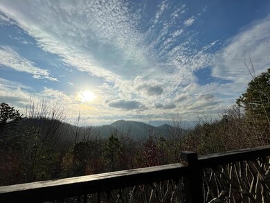 00 Doghobble Dr, Franklin, NC 28734 - photo 4