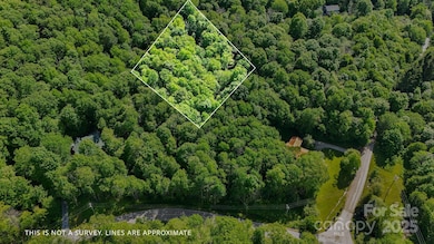 233 Woodland Springs Trail unit 14, Boone, NC 28607 - photo 4