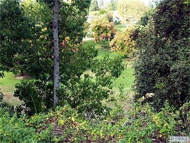 VIEW OF WILDERNESS AREA FROM WALK