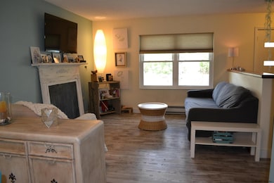 39 Pheasant Ct, Saratoga Springs, NY 12866 - photo 6