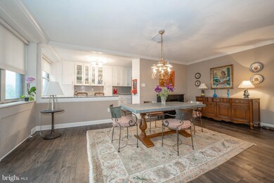 The Trianon unit 310, Bala Cynwyd, PA 19004 - photo 7