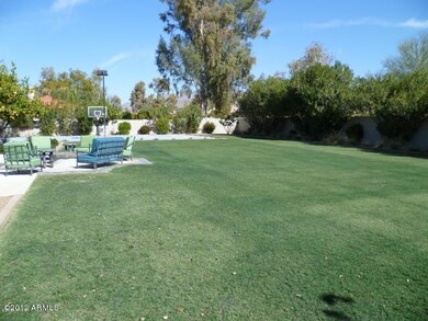 Back yard