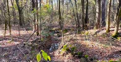 Lot 29 Shiloh Landing Pointe, Greers Ferry, AR 72067 - photo 4