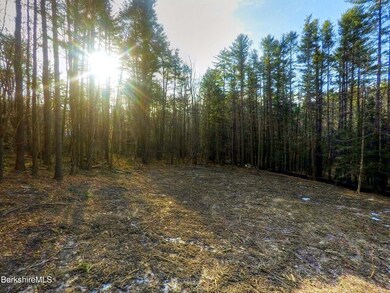 13RattlesnakeMtnRd_5