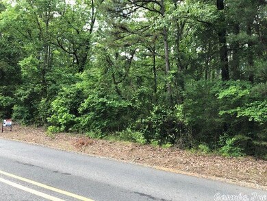 0 Hiram Rd, Heber Springs, AR 72543 - photo 2