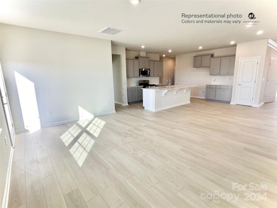 165 Pampas Place unit BF5 225, Statesville, NC 28625 - photo 6