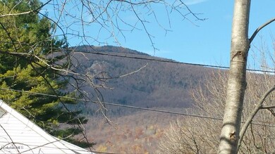 73 Valley St, Adams, MA 01220 - photo 6