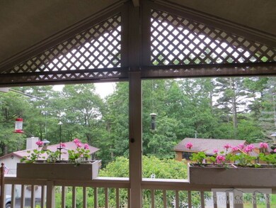 View from Deck
