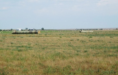 20881 New Underwood Rd, New Underwood, SD 57761 - photo 2