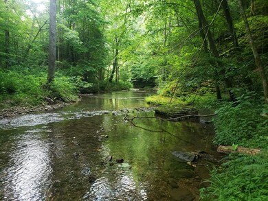 76 AC. Masters Rd, Cookeville, TN 38506 - photo 2