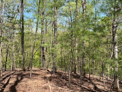 LT 3421 Hart Ct, Ellijay, GA 30540 - photo 4