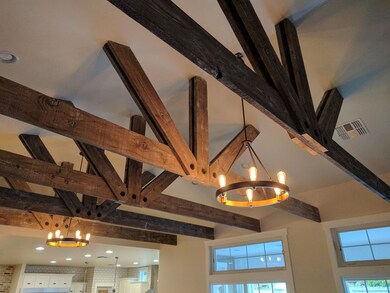 Beam Details