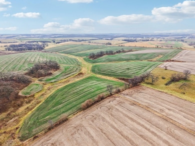 0 County Hwy E, Linden, WI 53565 - photo 6