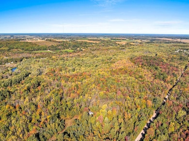 8653 Alder Ln, Suring, WI 54174 - photo 5