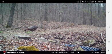 unlisted-address, Winslow, AR 72959 - photo 7