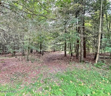 45 Jacob Rd, Waymart, PA 18472 - photo 5