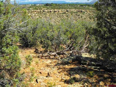 TBD Road J 3, Cortez, CO 81321 - photo 2