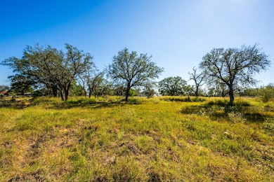 1790 W Goodwin St, Pleasanton, TX 78064 - photo 4