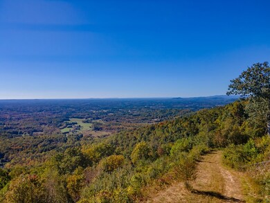 Lot 79 Spring Pond Trail, Fancy Gap, VA 24328 - photo 7