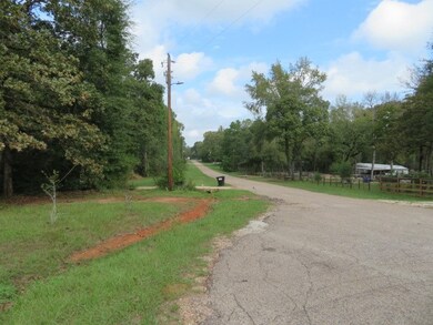 28211 Hickory Hill Dr, Hockley, TX 77447 - photo 7