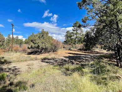 307 Deer Trail Rd, Durango, CO 81303 - photo 7