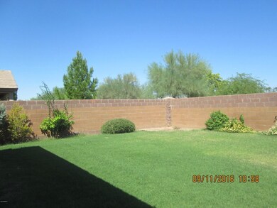 IMG_2813 - Copy