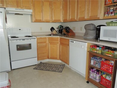 9404 Hickory Ridge Dr, Streetsboro, OH 44241 - photo 4