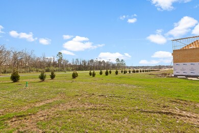 Flat Lots - Screened by Trees