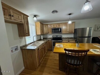 17584 Burnt Cabin Trail, Chilhowie, VA 24319 - photo 4