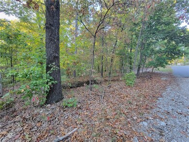 0 Cockerham Ln, Bella Vista, AR 72714 - photo 2