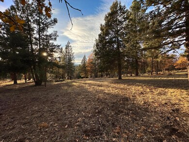 0 Merganser Rd unit Lot 106 220174097, Klamath Falls, OR 97601 - photo 7