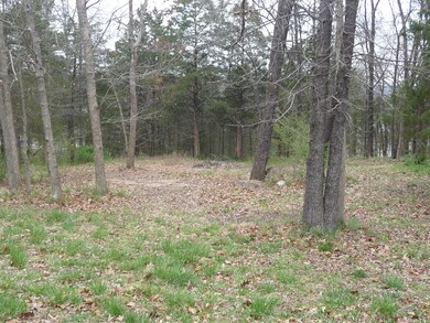 Tbd Bonanza Dr, Ruth B Rural Township, MO 65686 - photo 2