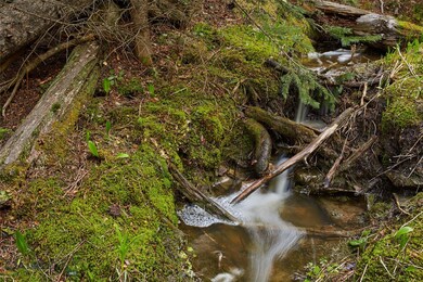 Lot 118 Old Barn Rd, Big Sky, MT 59716 - photo 2