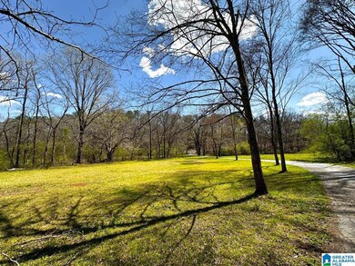 1931 Red Valley Rd, Remlap, AL 35133 - photo 3