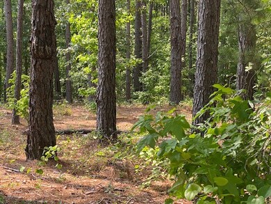 Wooded - country peaceful atmosphere