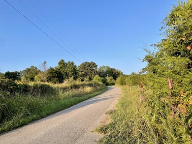 1658 Weems Rd, Southside, TN 37171 - photo 3