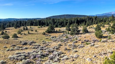 NHN LOT 45A PHASE 3 Pintler View Rd unit Lot 45A, Deer Lodge, MT 59722 - photo 4