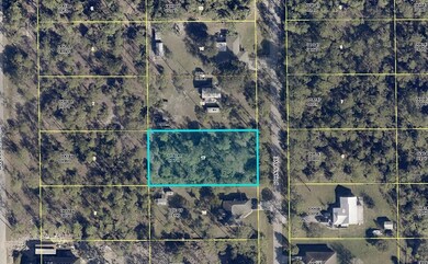 2309 Johns Ave, Alva, FL 33920 - photo 7