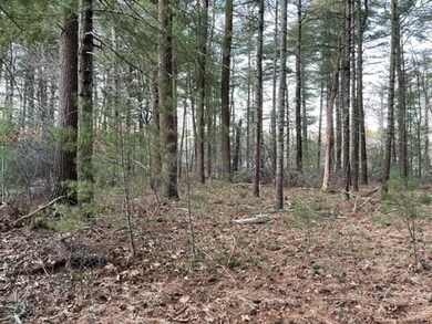 0 Tobia Way unit 73156456, Wareham, MA 02571 - photo 4