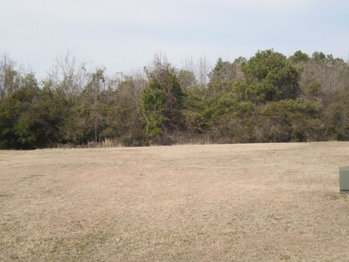 207 Sandbar Ct