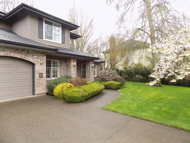 Front Yard