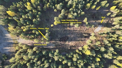 209 Turtle Trail, Eureka, MT 59917 - photo 2