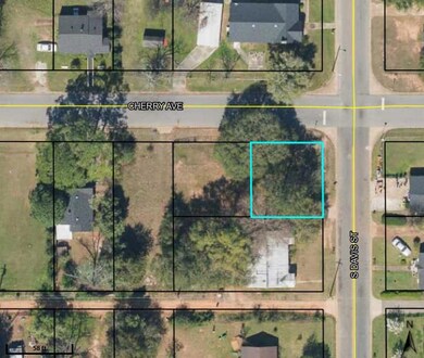 702 Cherry Ave, Albany, GA 31701 - photo 2