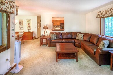 17 Kettlebrook Rd unit C6, Ludlow, VT 05149 - photo 5